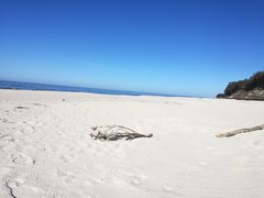 IMG_20180523_171026.jpg