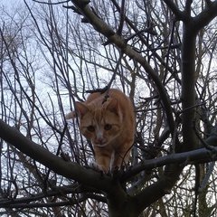 IMG_20180523_203456.jpg