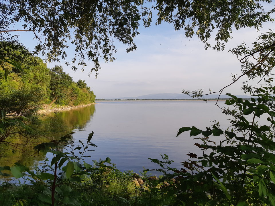 20180524_185332.jpg - mlody1277