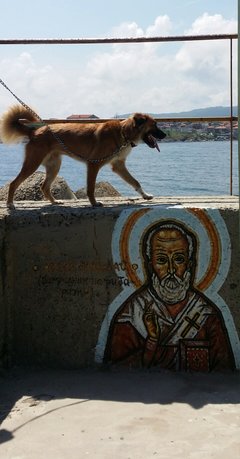 20180525_235507.jpg
