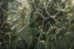 _DSC2557.jpeg