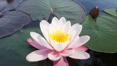 20180527_114318.jpg