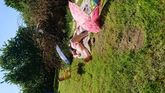 DSCPDC_0000_BURST20180527154003678.JPG