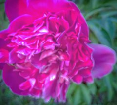 1336E64C-B01B-47E2-A598-4D192F4971F2.jpeg