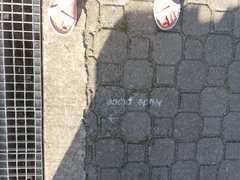 20180528_175618.jpg