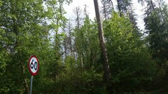 20180518_162954a.jpg