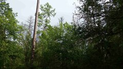 20180518_163007a.jpg