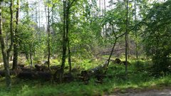 20180518_163221a.jpg