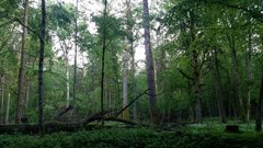 20180518_163806a.jpg