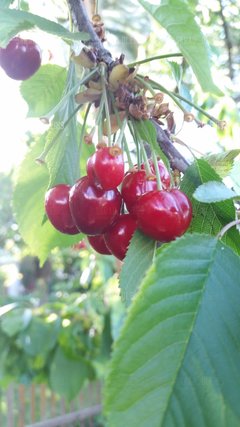 20180523_181058.jpg