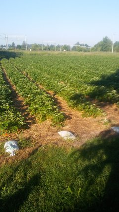 20180526_072840.jpg