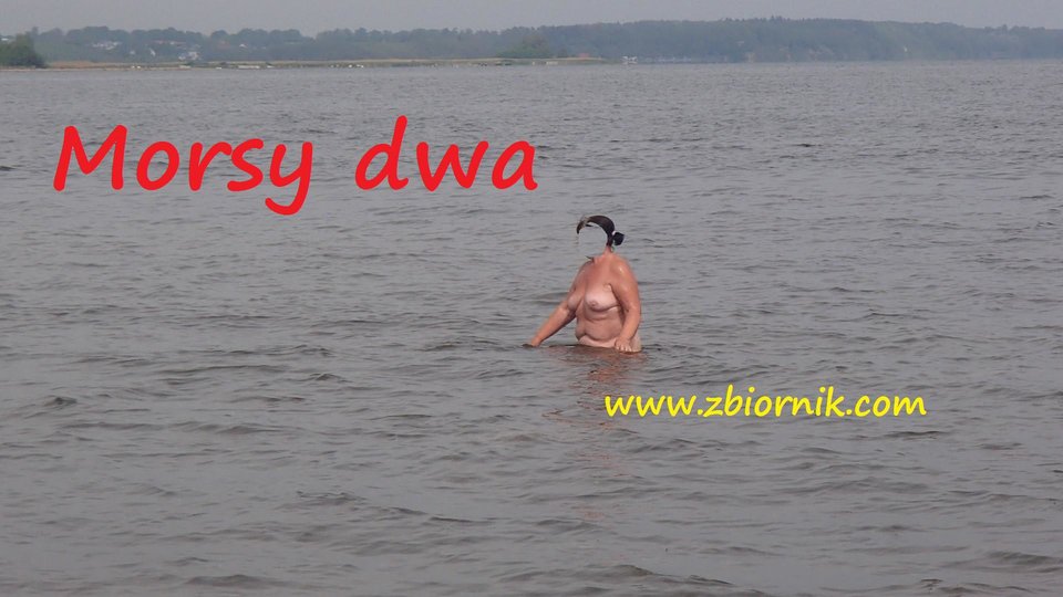Rewa - Morsy_dwa