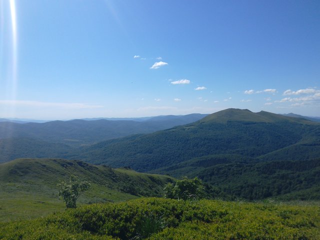 grzeskce