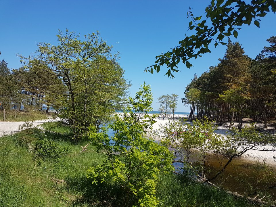 20180525_122547.jpg - strayk