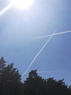 IMG_20180529_145236.jpg