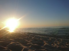DSC_0398.JPG