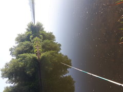 20180531_063537.jpg