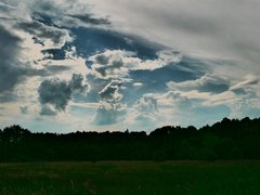 P1010942a.jpg