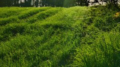 P1010701a.jpg
