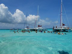 IMG_7565.JPG
