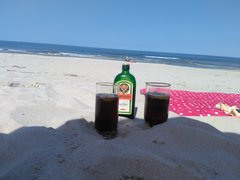 IMG_20180601_114404.jpg