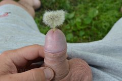DSC_0018.JPG
