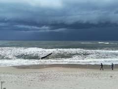 IMG_20170914_190737.jpg