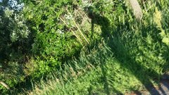 20180605_190201.jpg
