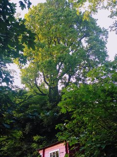 IMG_20180604_194042.jpg