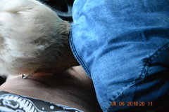DSC_0021.JPG