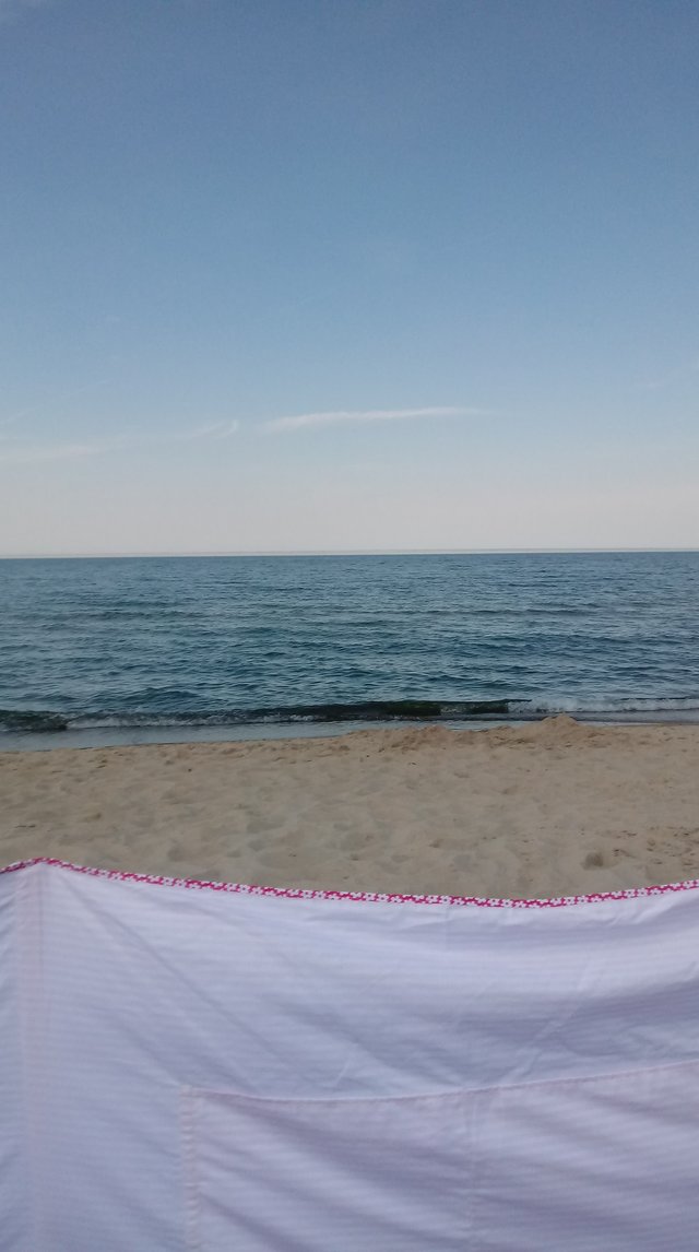Arnau42