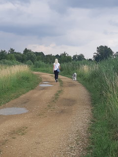 20180612_173629.jpg