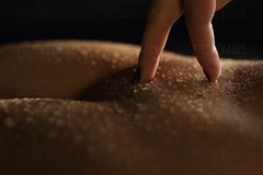 IMG_3863c.JPG