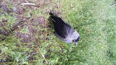 20180613_085736.jpg