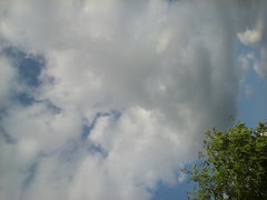 20180614_175421.jpg