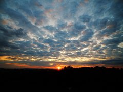 DJI_0190a.jpg
