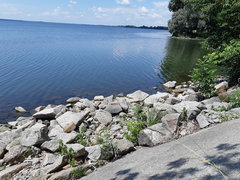 IMG_20180617_1209381659989997.jpg