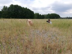IMG_20180617_150521.jpg