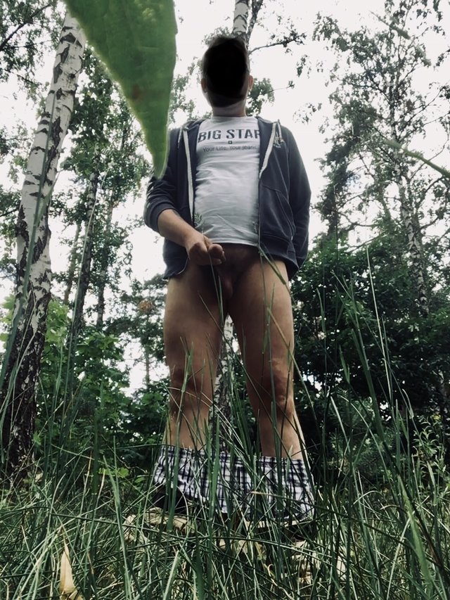 Kyylar