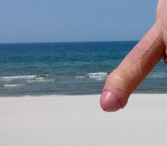 _20180618_140312.JPG - artur42wawa