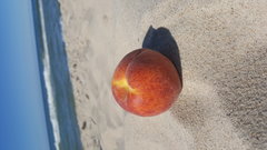 20180620_151950.jpg