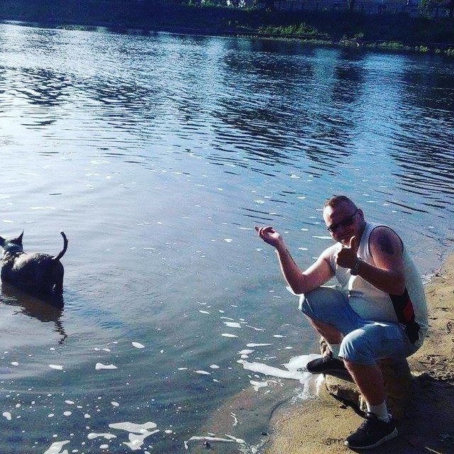 fikoleksik