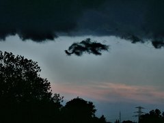 P1010952a.jpg