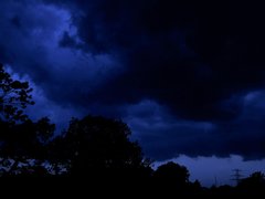 _1010955a.jpg