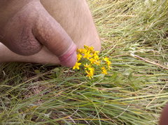 IMAG0290.jpg