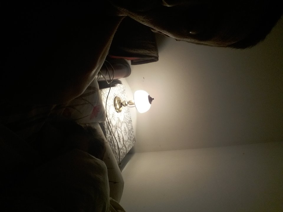 20180624_021026.jpg - paragr