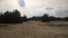 WP_20180609_15_49_57_Pro.jpg