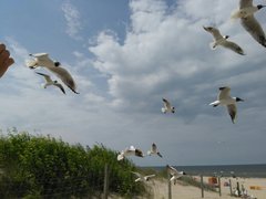 IMG-20180617-WA0001.jpg