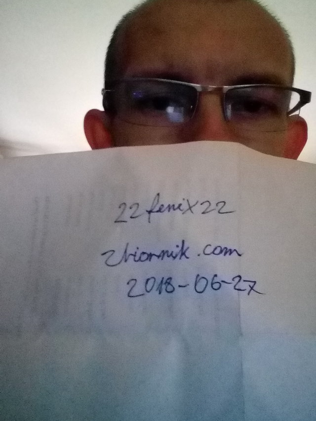 22fenix22