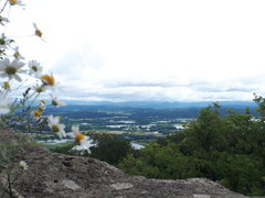 20180624_105757.jpg